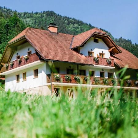 Na Logu - Farm Stay Ambroz Gregorc Solčava Exteriér fotografie