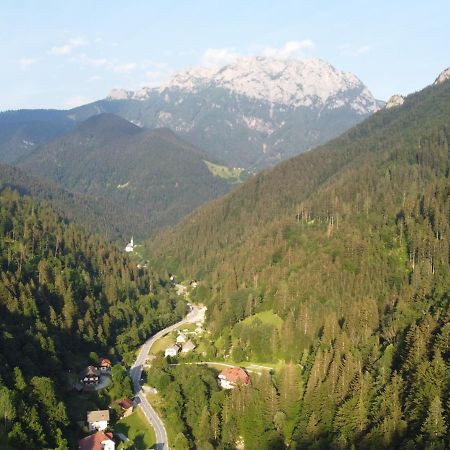 Na Logu - Farm Stay Ambroz Gregorc Solčava Exteriér fotografie