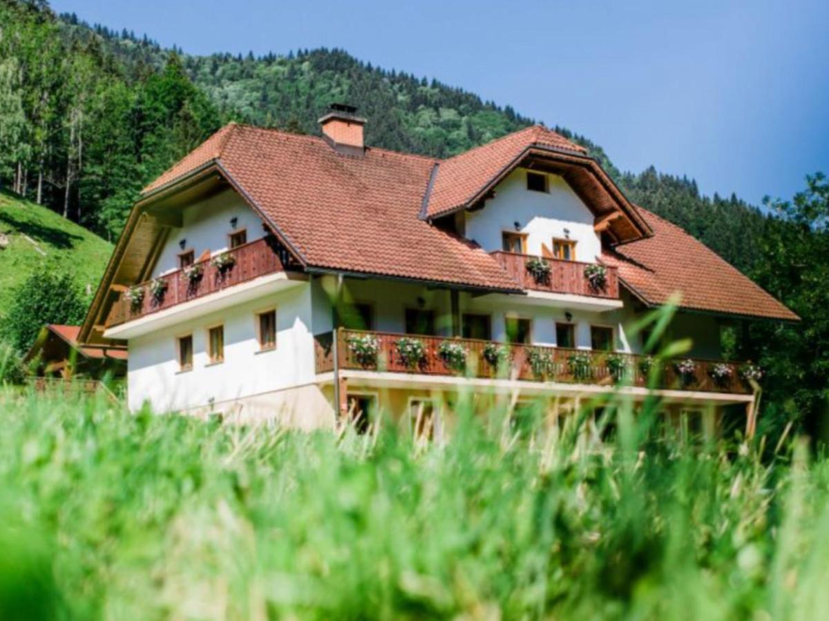 Na Logu - Farm Stay Ambroz Gregorc Solčava Exteriér fotografie