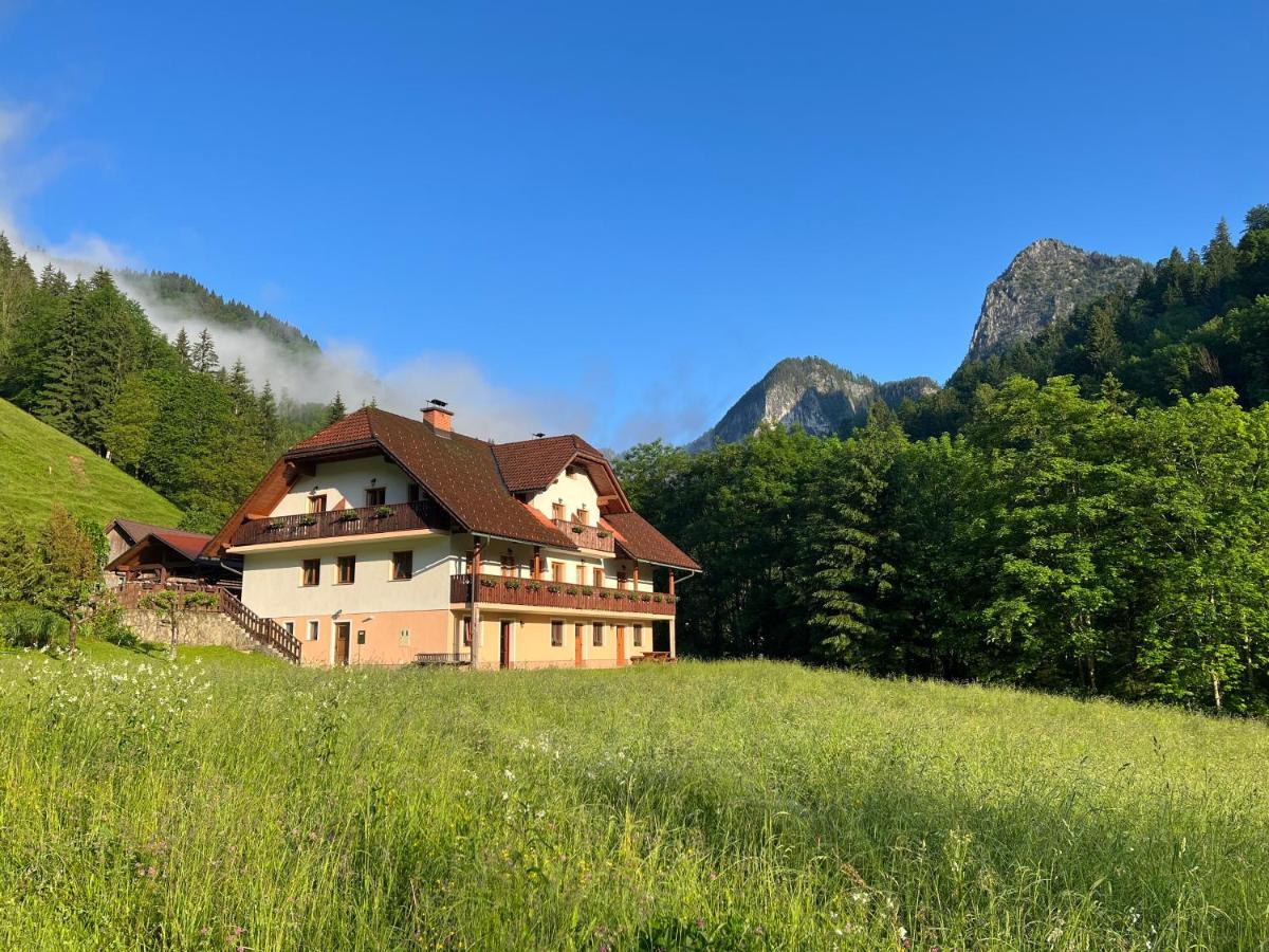 Na Logu - Farm Stay Ambroz Gregorc Solčava Exteriér fotografie