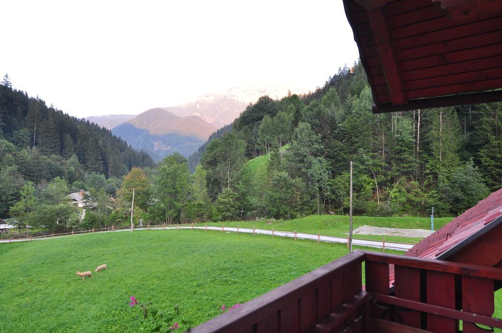 Na Logu - Farm Stay Ambroz Gregorc Solčava Pokoj fotografie