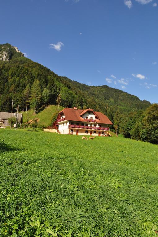 Na Logu - Farm Stay Ambroz Gregorc Solčava Exteriér fotografie