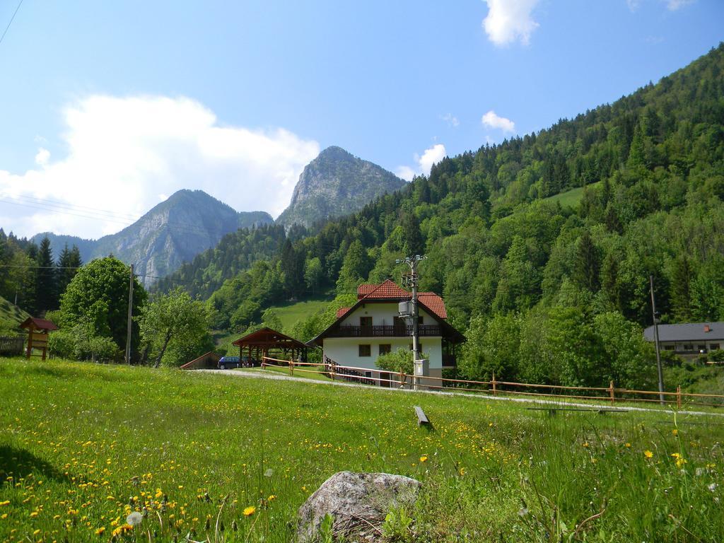 Na Logu - Farm Stay Ambroz Gregorc Solčava Exteriér fotografie