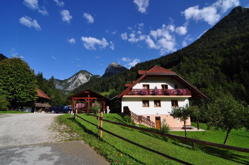 Na Logu - Farm Stay Ambroz Gregorc Solčava Exteriér fotografie